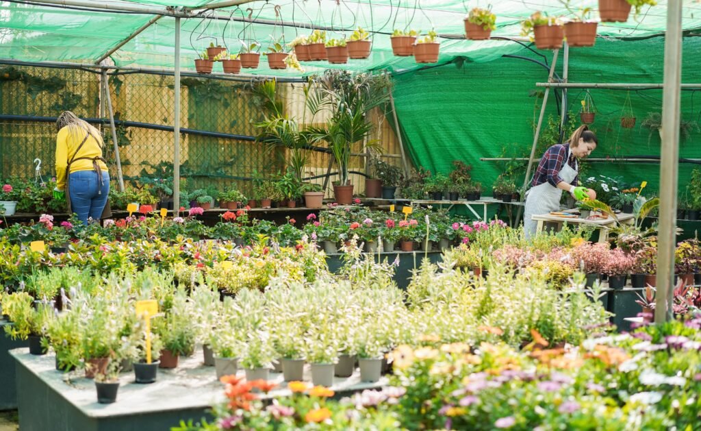 garden nursery in Kadiyam