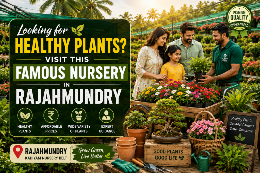 healthy plants in Rajahmundry