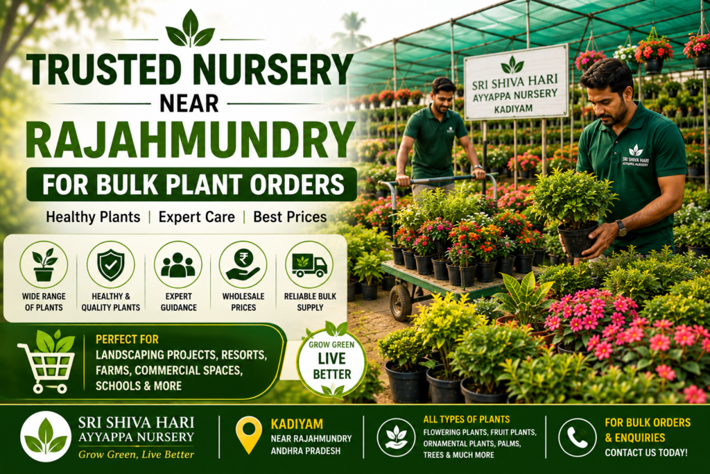 Trusted Nursery Near Rajahmundry