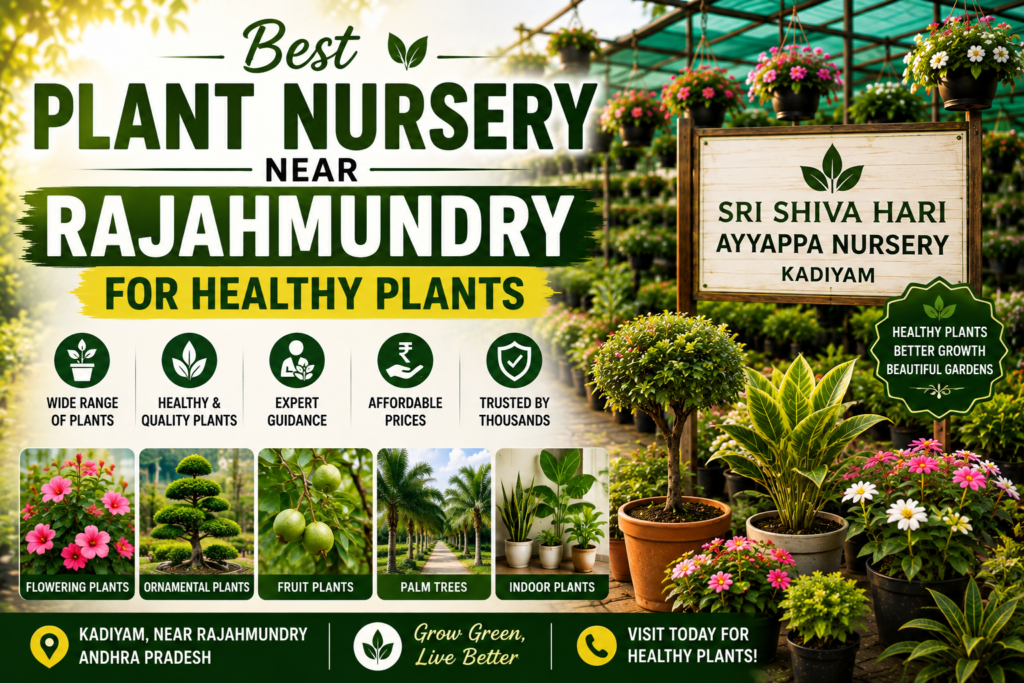 Best Plant Nursery Near Rajahmundry