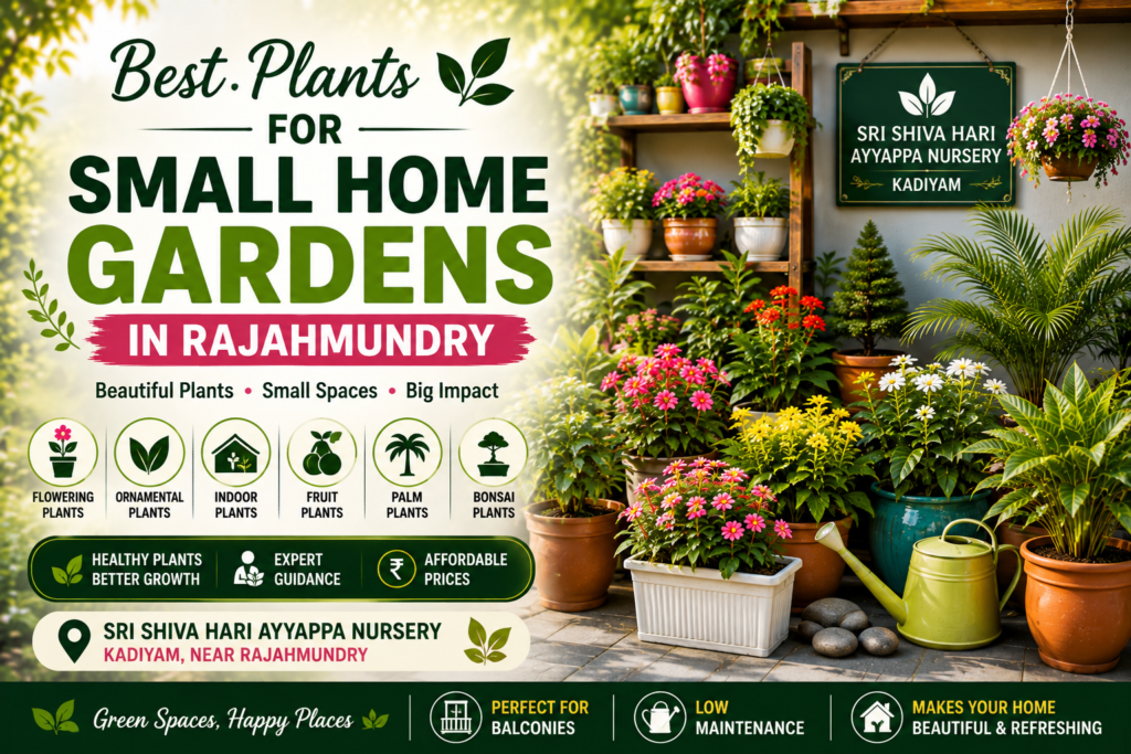 Plants You Can Buy in Rajahmundry