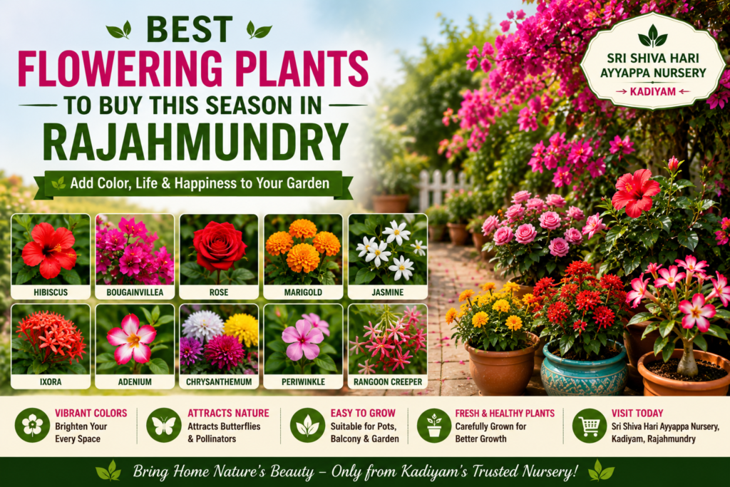 Best Flowering Plants