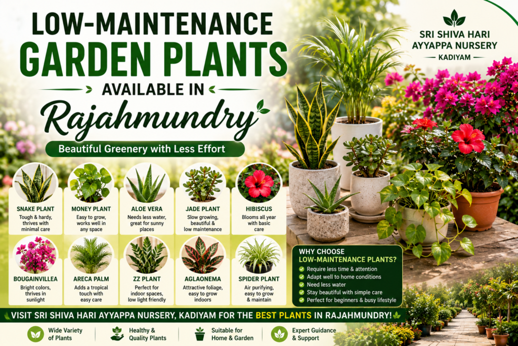 Garden Plants Available in Rajahmundry