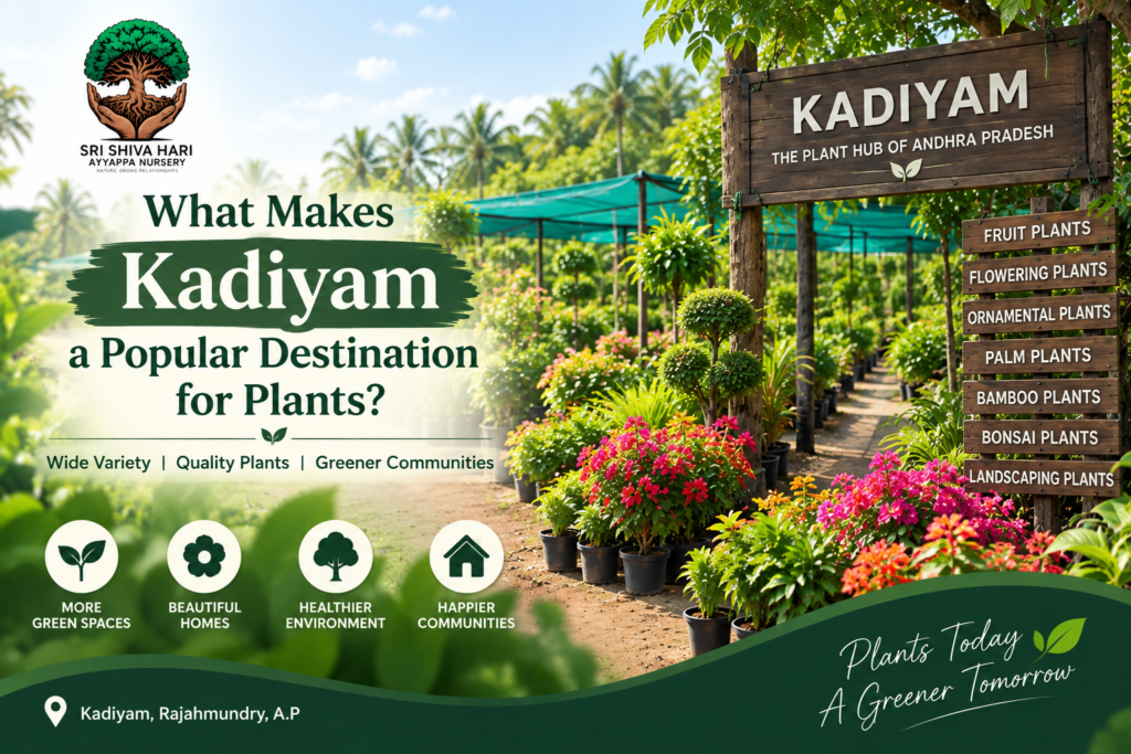 Plants in Kadiyam