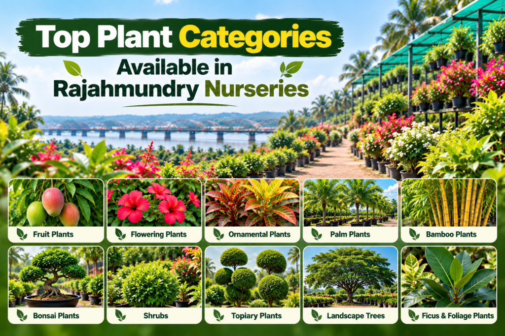 Plant Categories in Rajahmundry